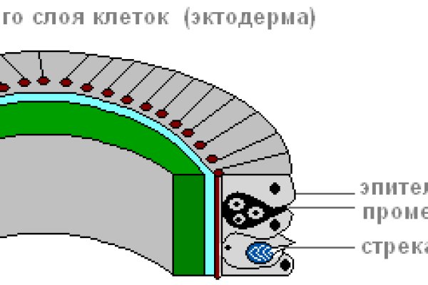 Кракен сайт kr2web in цены