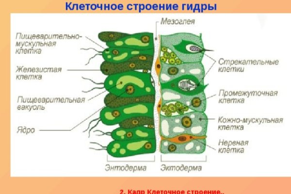 Онион сайты